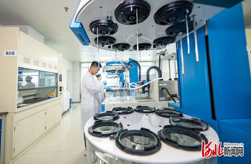 奮力譜寫(xiě)中國(guó)式現(xiàn)代化建設(shè)河北篇章 | 解碼石藥 創(chuàng)新引領(lǐng)的“藥”素密碼